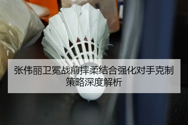 张伟丽卫冕战前摔柔结合强化对手克制策略深度解析